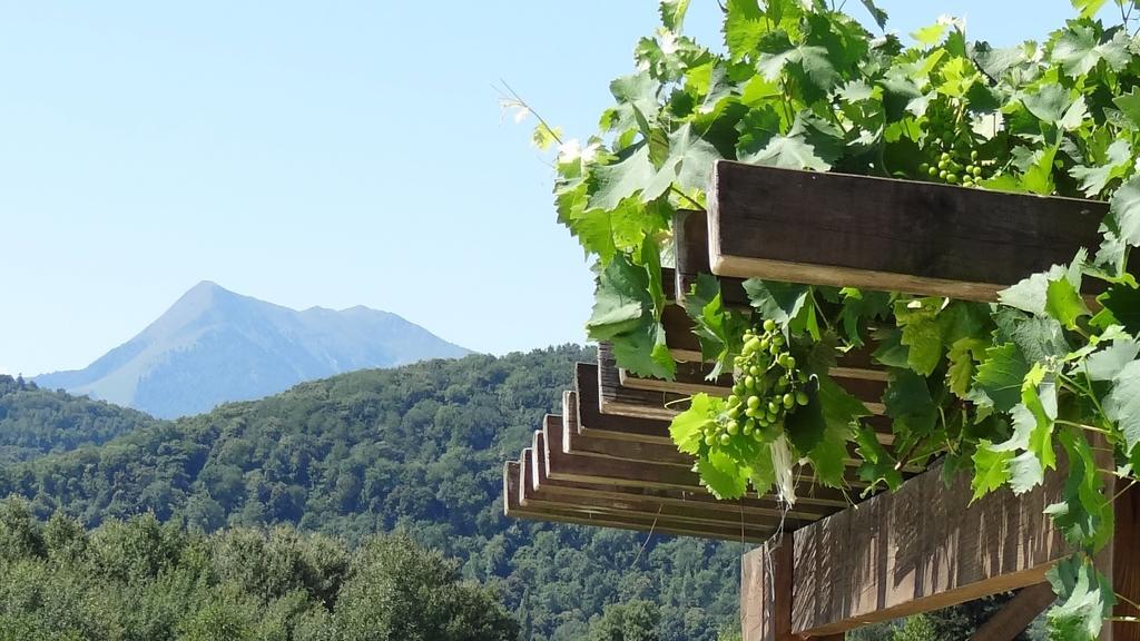 Gites Pyrenees Les Trois Montagnes Ganties الغرفة الصورة